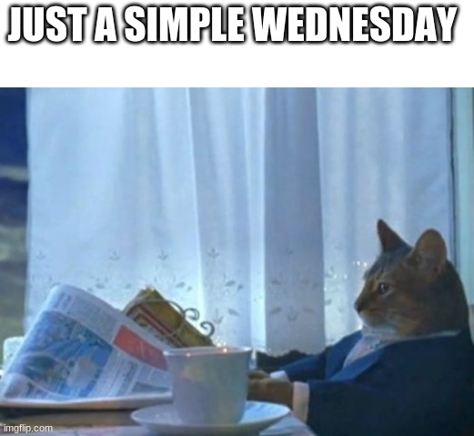 I Should Buy A Boat Cat | JUST A SIMPLE WEDNESDAY | image tagged in memes,i should buy a boat cat | made w/ Imgflip meme maker