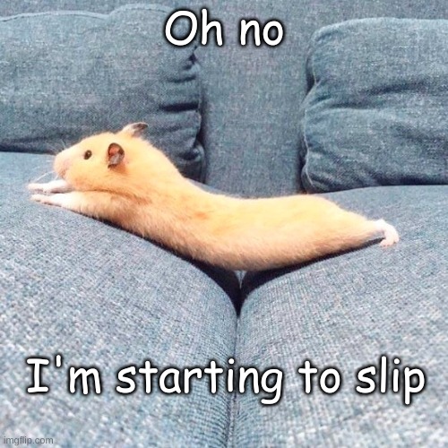 Hang on! | Oh no; I'm starting to slip | image tagged in stretching hamster,disaster | made w/ Imgflip meme maker