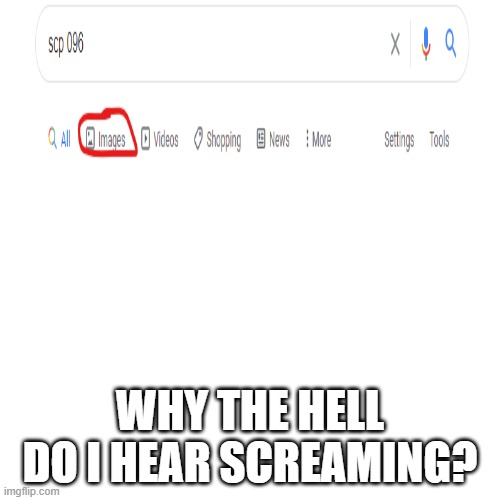 Blank Transparent Square | WHY THE HELL DO I HEAR SCREAMING? | image tagged in memes,blank transparent square | made w/ Imgflip meme maker