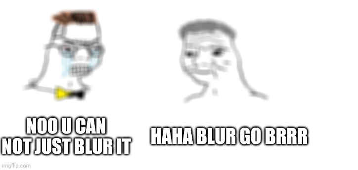 Blur go brrr | NOO U CAN NOT JUST BLUR IT; HAHA BLUR GO BRRR | image tagged in nooo haha go brrr | made w/ Imgflip meme maker