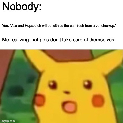 Surprised Pikachu | Nobody:; You: "Asa and Hopscotch will be with us the car, fresh from a vet checkup."; Me realizing that pets don't take care of themselves: | image tagged in memes,surprised pikachu | made w/ Imgflip meme maker
