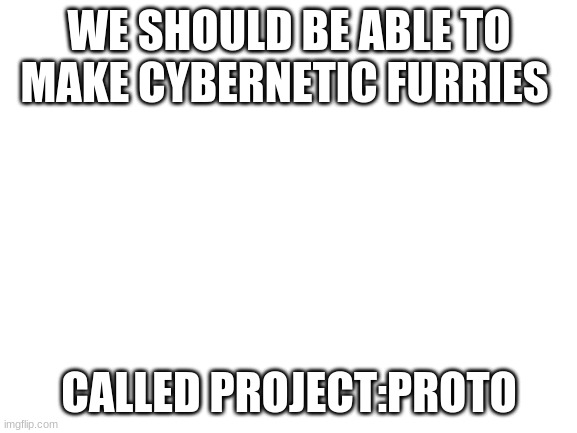 Blank White Template |  WE SHOULD BE ABLE TO MAKE CYBERNETIC FURRIES; CALLED PROJECT:PROTO | image tagged in blank white template | made w/ Imgflip meme maker
