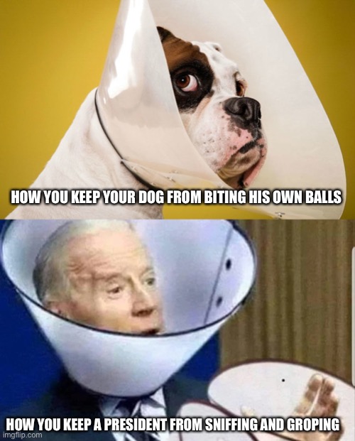 Seems like a good idea | HOW YOU KEEP YOUR DOG FROM BITING HIS OWN BALLS; HOW YOU KEEP A PRESIDENT FROM SNIFFING AND GROPING | image tagged in biden,groper,hair snifer | made w/ Imgflip meme maker
