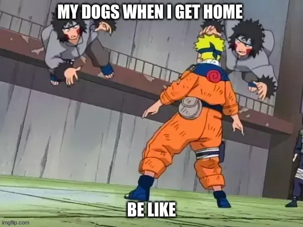 Doggy Problems | image tagged in doggy problems,naruto,kiba,anime,yeet | made w/ Imgflip meme maker