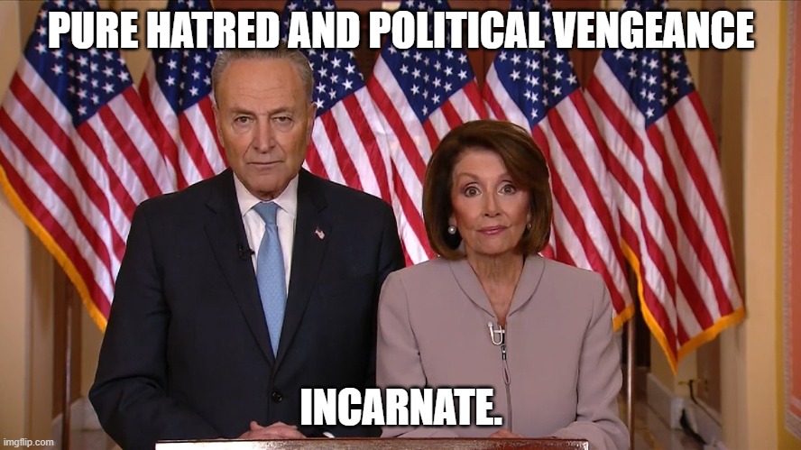 Chuck and Nancy | PURE HATRED AND POLITICAL VENGEANCE; INCARNATE. | image tagged in chuck and nancy | made w/ Imgflip meme maker
