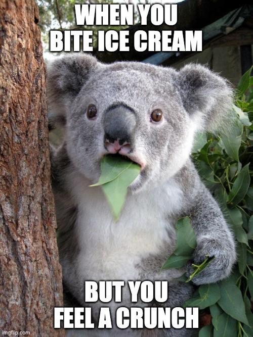 Koala Chomp |  WHEN YOU BITE ICE CREAM; BUT YOU FEEL A CRUNCH | image tagged in memes,surprised koala | made w/ Imgflip meme maker
