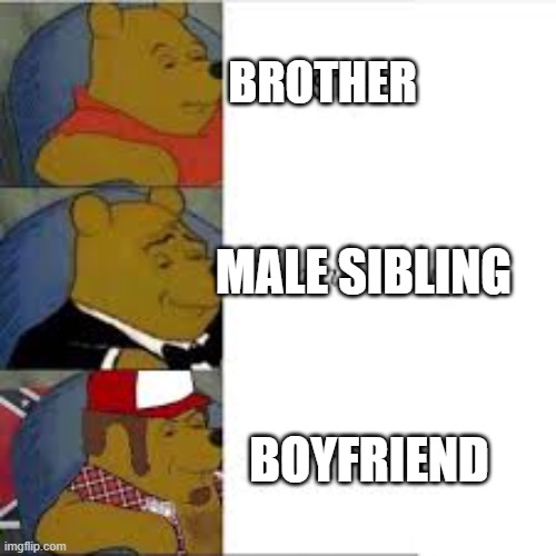 Alabama 100 | BROTHER MALE SIBLING BOYFRIEND | image tagged in alabama 100 | made w/ Imgflip meme maker