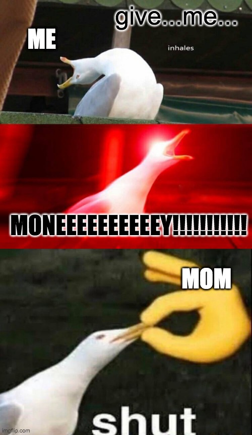 give...me... ME; MONEEEEEEEEEEY!!!!!!!!!!! MOM | image tagged in inhaling seagull,shut | made w/ Imgflip meme maker