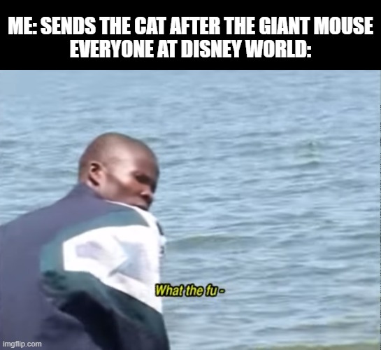 What the Fu | ME: SENDS THE CAT AFTER THE GIANT MOUSE
EVERYONE AT DISNEY WORLD: | image tagged in what the fu-,memes,funny memes | made w/ Imgflip meme maker