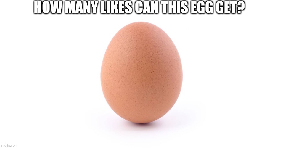 HOW MANY LIKES CAN THIS EGG GET? | image tagged in i got this from mr beast im not begging,egg,world winner egg,mr beast | made w/ Imgflip meme maker