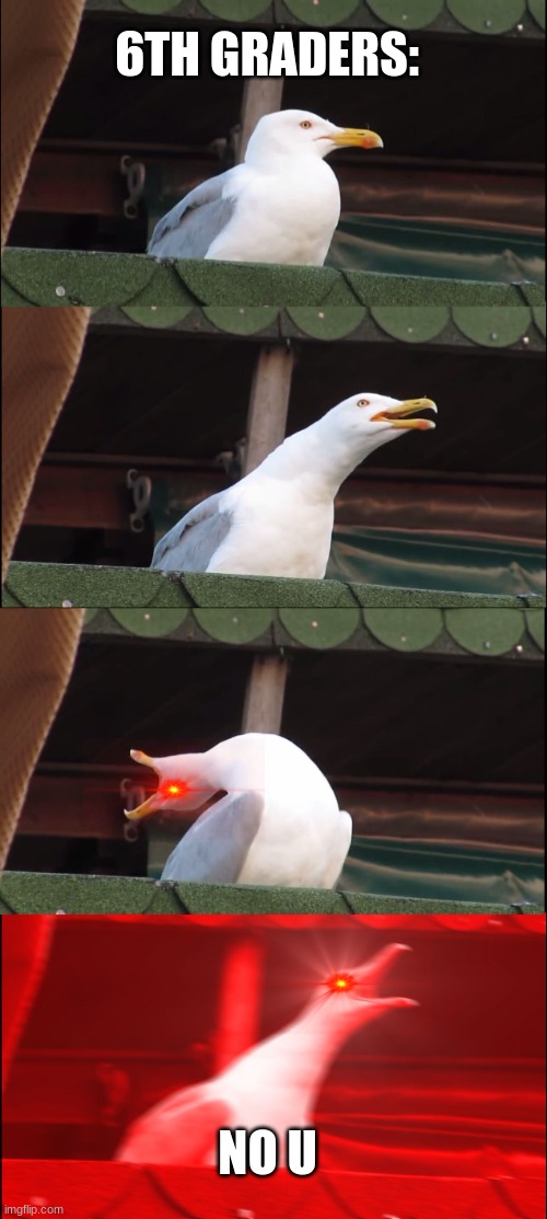 Inhaling Seagull | 6TH GRADERS:; NO U | image tagged in memes,inhaling seagull | made w/ Imgflip meme maker