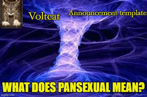 Voltcat Announcement Template | WHAT DOES PANSEXUAL MEAN? | image tagged in voltcat announcement template | made w/ Imgflip meme maker