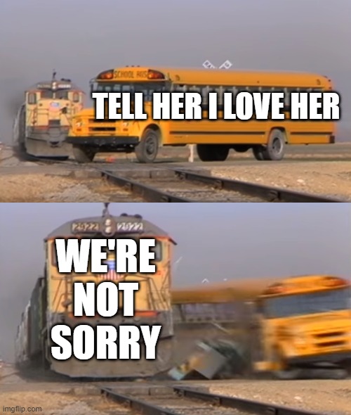 we're not sorryyyyyyyyyy | TELL HER I LOVE HER; WE'RE NOT SORRY | image tagged in a train hitting a school bus | made w/ Imgflip meme maker