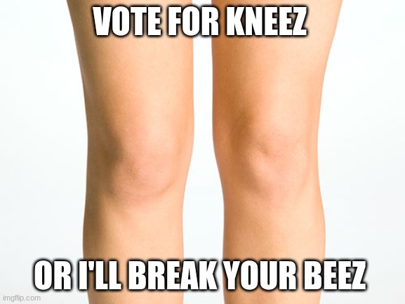 in a parallel universe... | VOTE FOR KNEEZ; OR I'LL BREAK YOUR BEEZ | image tagged in knees,bees,vote for beez or i break your kneez | made w/ Imgflip meme maker