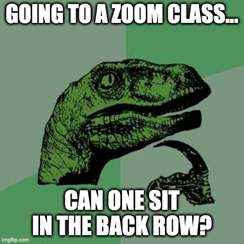 Zoom Class | GOING TO A ZOOM CLASS... CAN ONE SIT IN THE BACK ROW? | image tagged in memes,philosoraptor,zoom | made w/ Imgflip meme maker