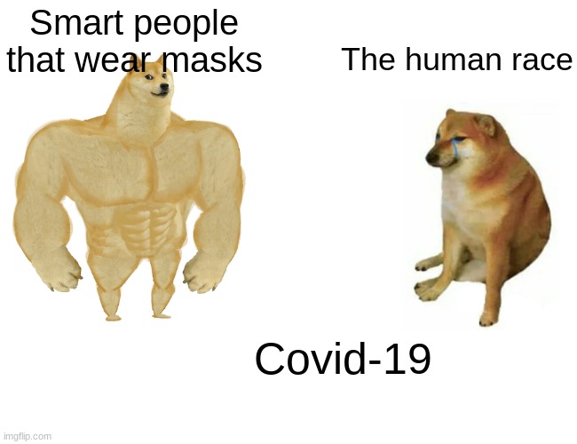When people are just plain dumb | Smart people that wear masks; The human race; Covid-19 | image tagged in memes,buff doge vs cheems | made w/ Imgflip meme maker