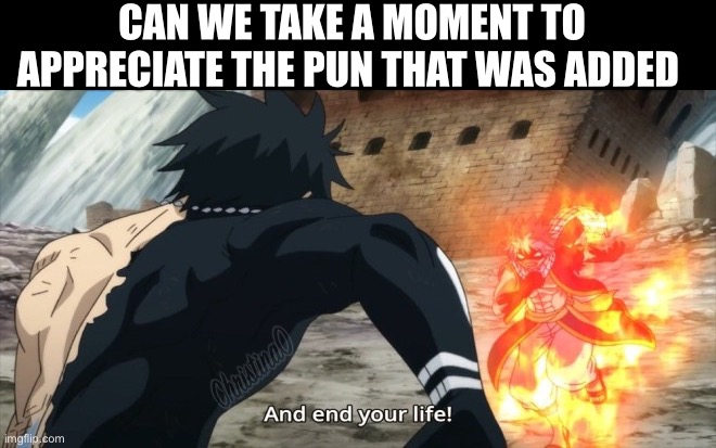 Pun Fairy Tail | CAN WE TAKE A MOMENT TO APPRECIATE THE PUN THAT WAS ADDED | image tagged in subtitles,puns,translation,fairy tail,fairy tail guild,gray fullbuster | made w/ Imgflip meme maker