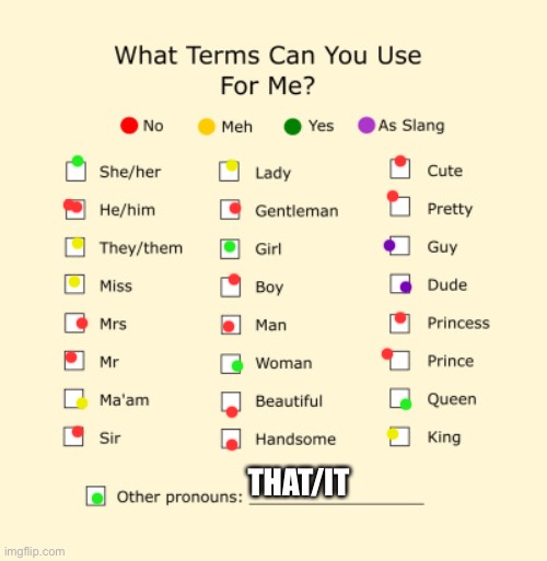 I did this for no reason | THAT/IT | image tagged in pronouns sheet | made w/ Imgflip meme maker