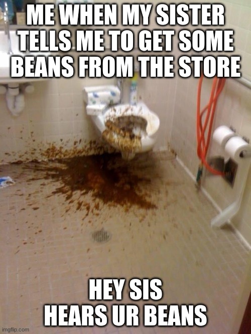 Girls poop too | ME WHEN MY SISTER TELLS ME TO GET SOME BEANS FROM THE STORE; HEY SIS HEARS UR BEANS | image tagged in girls poop too | made w/ Imgflip meme maker