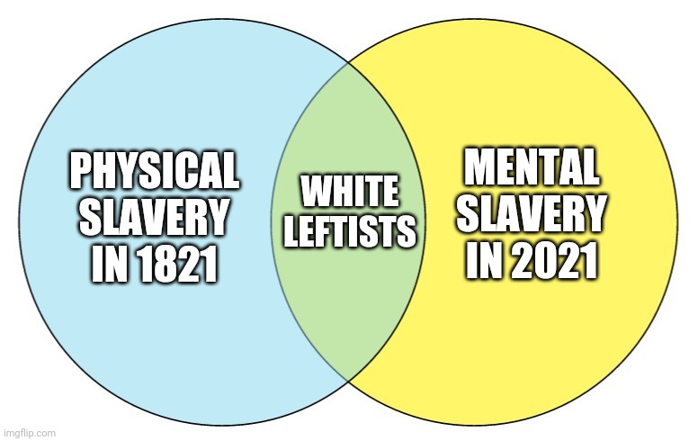 The real enemy | MENTAL SLAVERY IN 2021; WHITE LEFTISTS; PHYSICAL SLAVERY IN 1821 | image tagged in blue green venn diagram | made w/ Imgflip meme maker