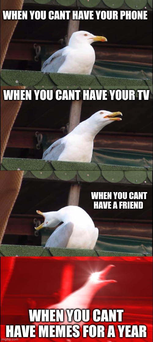 no memes | WHEN YOU CANT HAVE YOUR PHONE; WHEN YOU CANT HAVE YOUR TV; WHEN YOU CANT HAVE A FRIEND; WHEN YOU CANT HAVE MEMES FOR A YEAR | image tagged in memes,inhaling seagull | made w/ Imgflip meme maker