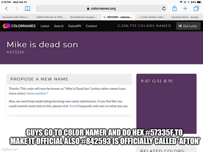 E | GUYS GO TO COLOR NAMER AND DO HEX #57335F TO 
MAKE IT OFFICIAL ALSO #842593 IS OFFICIALLY CALLED ‘AFTON’ | made w/ Imgflip meme maker