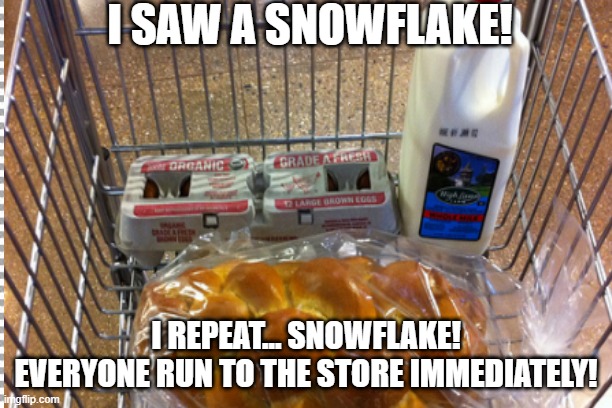 I SAW A SNOWFLAKE! I REPEAT... SNOWFLAKE! EVERYONE RUN TO THE STORE IMMEDIATELY! | made w/ Imgflip meme maker