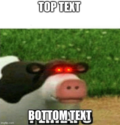 Perhaps Cow | TOP TEXT BOTTOM TEXT | image tagged in perhaps cow | made w/ Imgflip meme maker