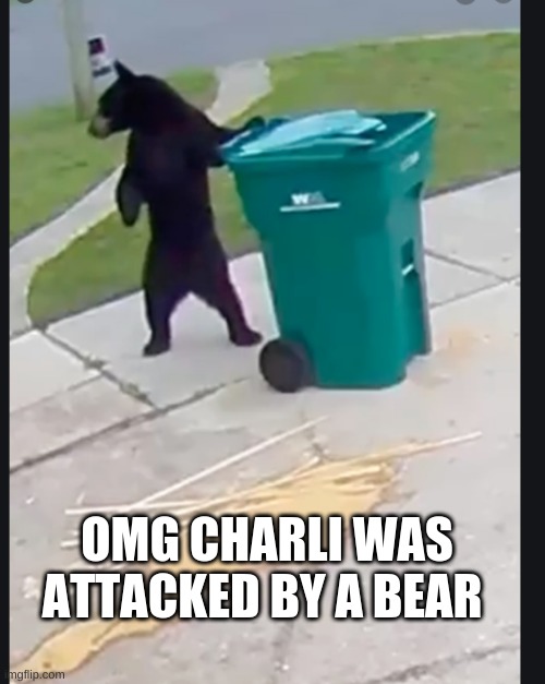 OMG CHARLI WAS ATTACKED BY A BEAR | image tagged in da bears,trash can | made w/ Imgflip meme maker