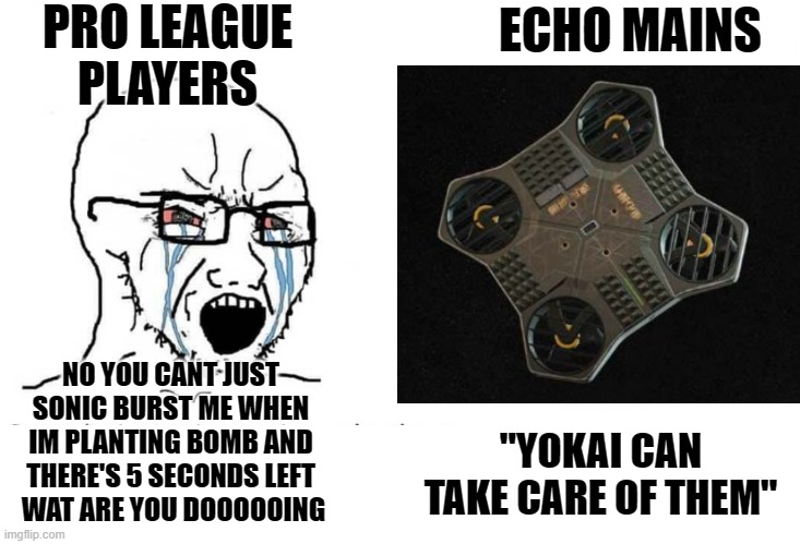 PRO LEAGUE PLAYERS; ECHO MAINS; NO YOU CANT JUST SONIC BURST ME WHEN IM PLANTING BOMB AND THERE'S 5 SECONDS LEFT
 WAT ARE YOU DOOOOOING; "YOKAI CAN TAKE CARE OF THEM" | image tagged in soyboy vs yes chad,rainbow six siege | made w/ Imgflip meme maker