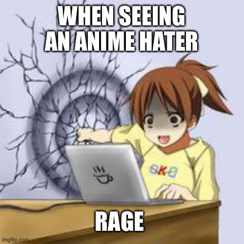 ANIME ARMY | WHEN SEEING AN ANIME HATER; RAGE | image tagged in anime wall punch | made w/ Imgflip meme maker