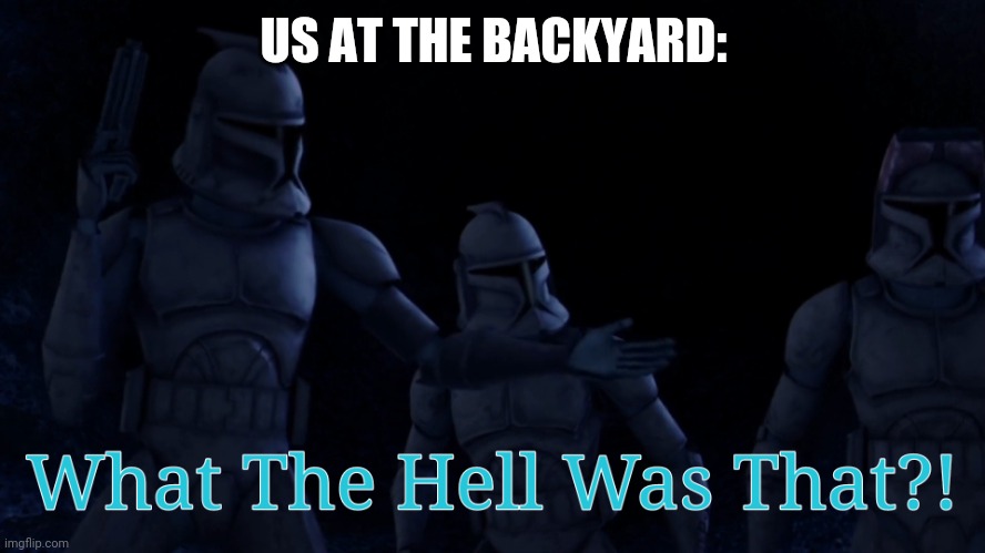 What The Hell Was That?! (Meme) | US AT THE BACKYARD: | image tagged in what the hell was that meme | made w/ Imgflip meme maker