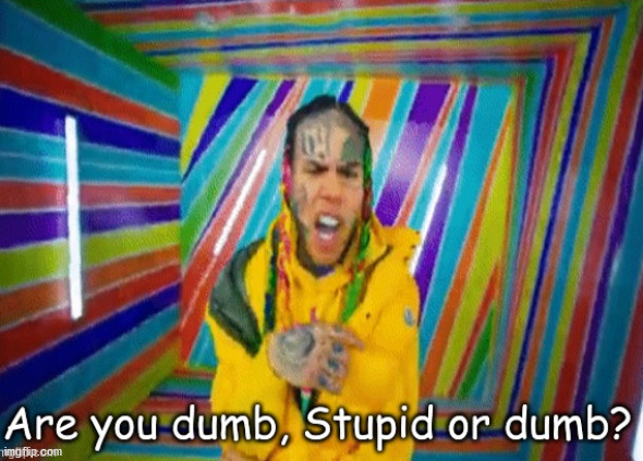 Are you dumb stupid or dumb? | image tagged in are you dumb stupid or dumb | made w/ Imgflip meme maker