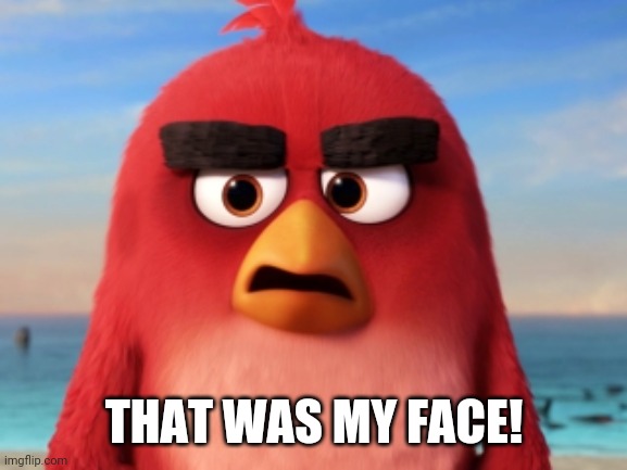 Angry Birds | THAT WAS MY FACE! | image tagged in angry birds | made w/ Imgflip meme maker