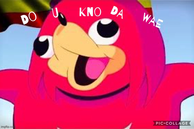 Ugdagan Knuckles | image tagged in ugdagan knuckles | made w/ Imgflip meme maker