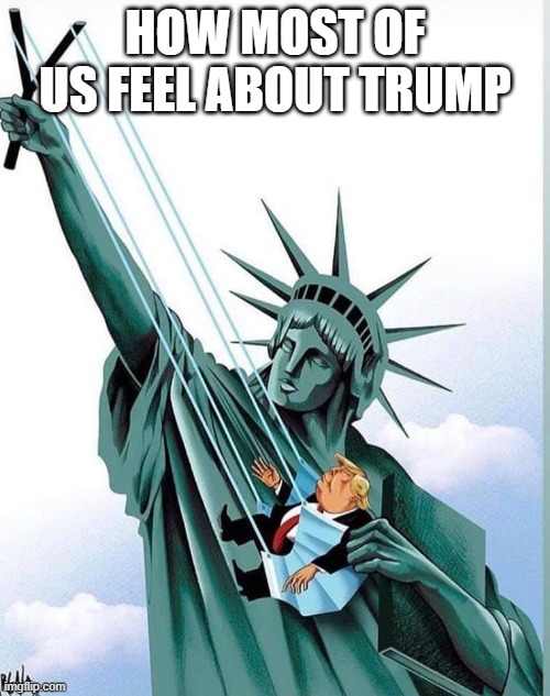 get trump out | HOW MOST OF US FEEL ABOUT TRUMP | image tagged in donald trump,usa | made w/ Imgflip meme maker