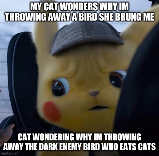 Unsettled detective pikachu | MY CAT WONDERS WHY IM THROWING AWAY A BIRD SHE BRUNG ME; CAT WONDERING WHY IM THROWING AWAY THE DARK ENEMY BIRD WHO EATS CATS | image tagged in unsettled detective pikachu | made w/ Imgflip meme maker