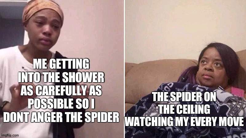 e | ME GETTING INTO THE SHOWER AS CAREFULLY AS POSSIBLE SO I DONT ANGER THE SPIDER; THE SPIDER ON THE CEILING WATCHING MY EVERY MOVE | image tagged in me explaining to my mom | made w/ Imgflip meme maker