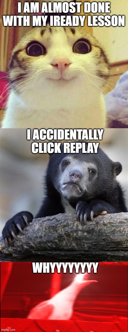 :( WHYYYYYY | I AM ALMOST DONE WITH MY IREADY LESSON; I ACCIDENTALLY CLICK REPLAY; WHYYYYYYYY | image tagged in memes,smiling cat,confession bear,inhaling seagull | made w/ Imgflip meme maker