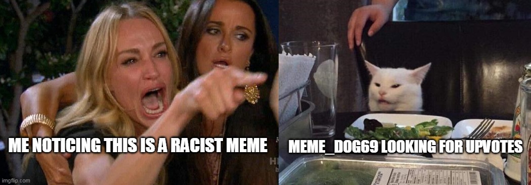 Lady yelling at cat | ME NOTICING THIS IS A RACIST MEME MEME_DOG69 LOOKING FOR UPVOTES | image tagged in lady yelling at cat | made w/ Imgflip meme maker