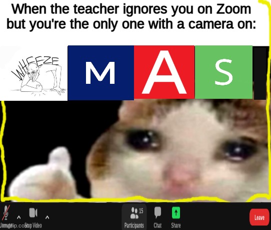 This is definitely some big pp oc energy. But, I'm sad and am not motivated for doing the work | When the teacher ignores you on Zoom but you're the only one with a camera on: | image tagged in sad cat thumbs up | made w/ Imgflip meme maker