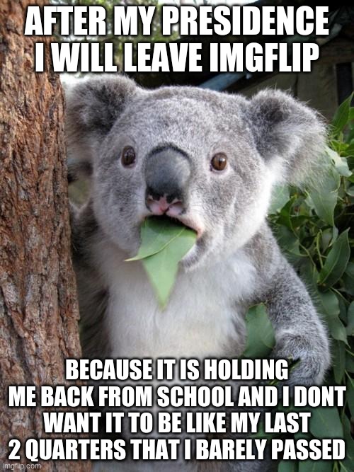 bye bye | AFTER MY PRESIDENCY I WILL LEAVE IMGFLIP; BECAUSE IT IS HOLDING ME BACK FROM SCHOOL AND I DONT WANT IT TO BE LIKE MY LAST 2 QUARTERS THAT I BARELY PASSED | image tagged in memes,surprised koala | made w/ Imgflip meme maker