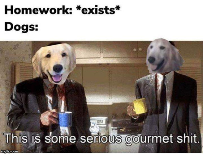 Dogs serious gourmet homework | image tagged in dogs accountability,bad dog,dead homework sign in frontyard | made w/ Imgflip meme maker