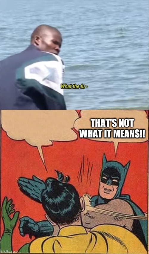 THAT'S NOT WHAT IT MEANS!! | image tagged in what the fu-,memes,batman slapping robin | made w/ Imgflip meme maker