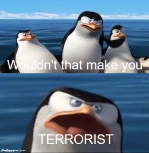 Wouldn't that make you terrorist? Blank Meme Template