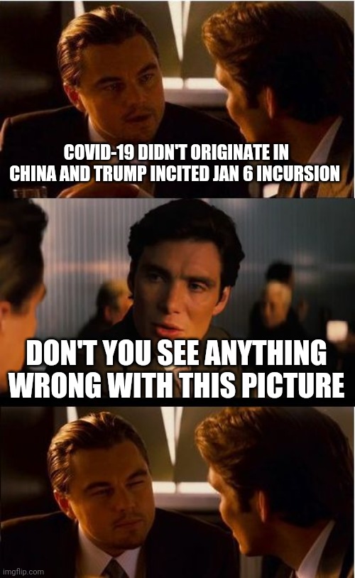 Inception Meme | COVID-19 DIDN'T ORIGINATE IN CHINA AND TRUMP INCITED JAN 6 INCURSION; DON'T YOU SEE ANYTHING WRONG WITH THIS PICTURE | image tagged in memes,inception | made w/ Imgflip meme maker