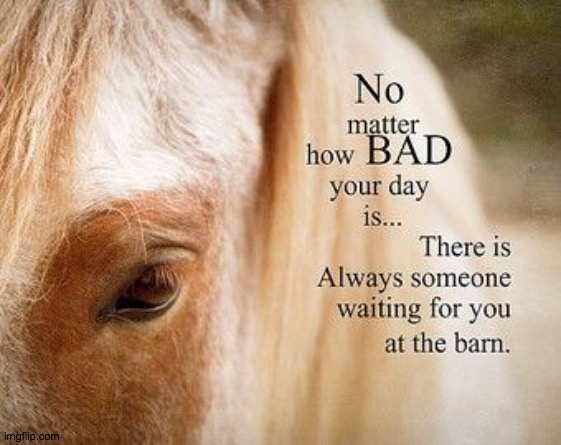 sappy but whatevuh | image tagged in horse,love | made w/ Imgflip meme maker