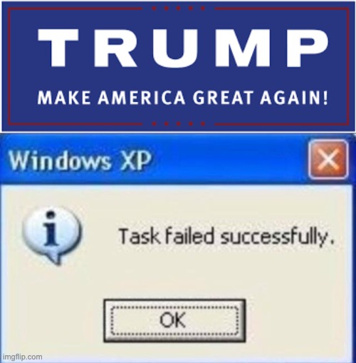 image tagged in task failed successfully | made w/ Imgflip meme maker