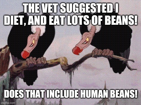 Feeling Peckish | THE VET SUGGESTED I DIET, AND EAT LOTS OF BEANS! DOES THAT INCLUDE HUMAN BEANS! | image tagged in feeling peckish | made w/ Imgflip meme maker