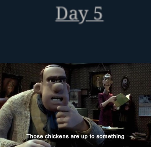 What are they planning? | image tagged in those chickens are up to something | made w/ Imgflip meme maker